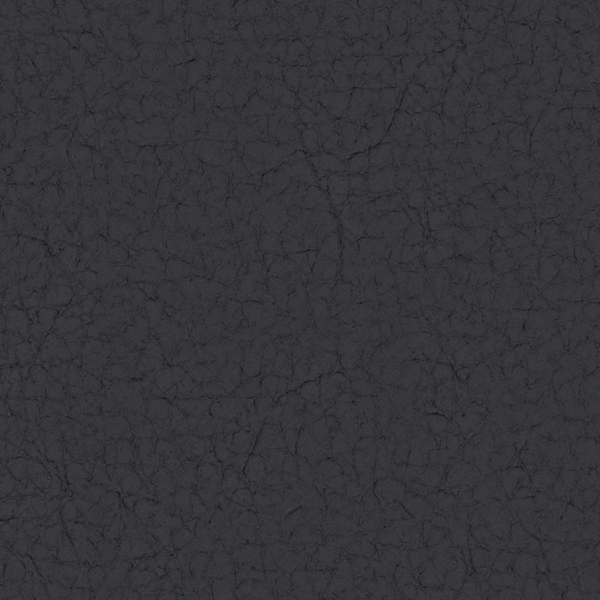 SESSEL in Echtleder Schwarz  - Chromfarben/Schwarz, Design, Leder/Metall (99/78-92/106cm) - Livetastic