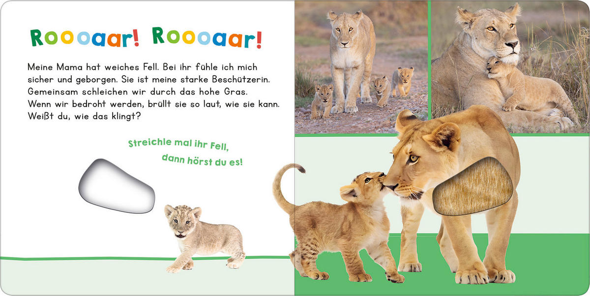 BUCH - Multicolor, Basics, Papier (19,5/19,5/1,8cm)