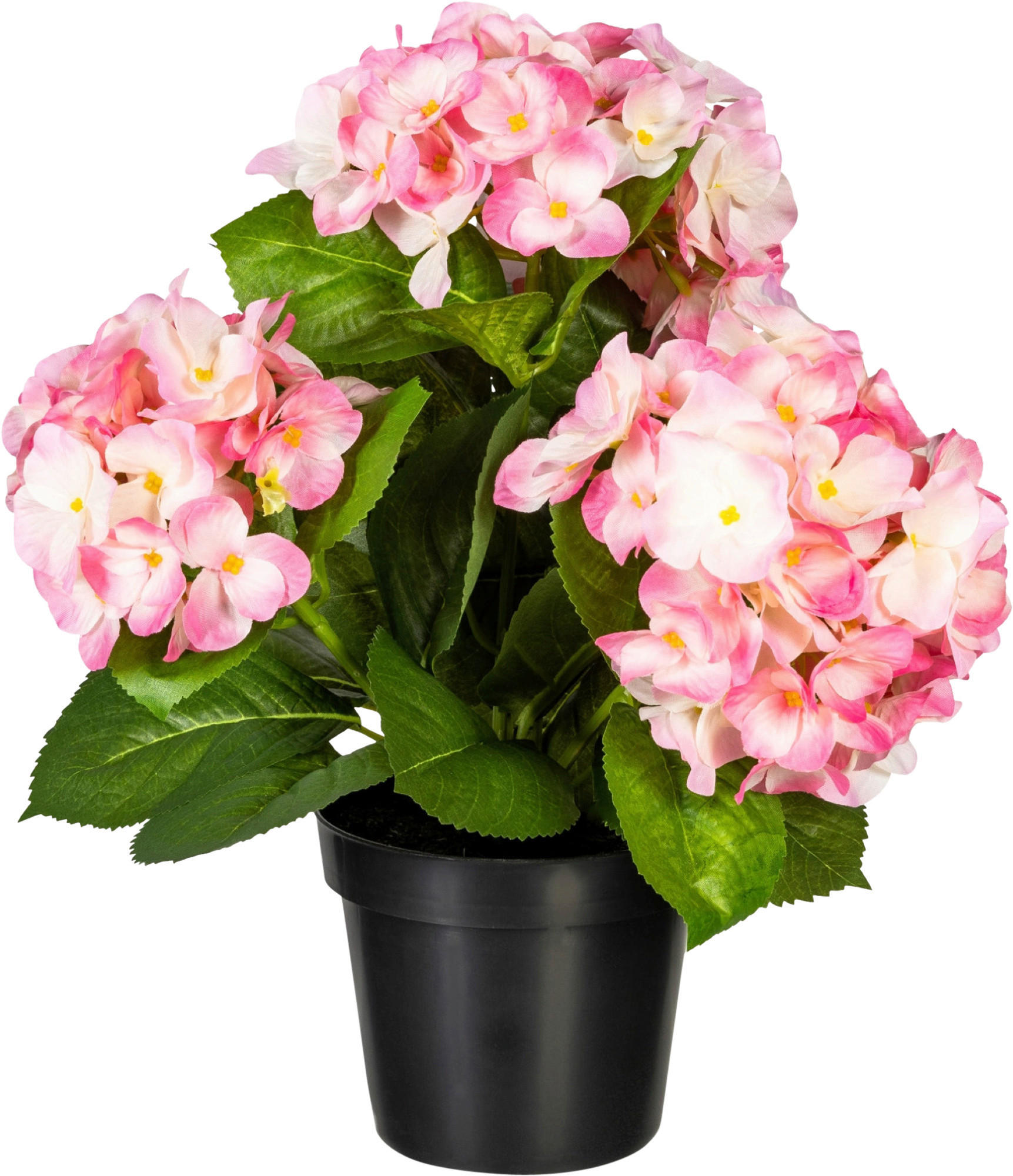 KUNSTPFLANZE Hortensie 32 cm  - Rosa/Grün, Design, Kunststoff (32cm) - P & B