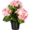 KUNSTPFLANZE Hortensie 32 cm  - Rosa/Grün, Design, Kunststoff (32cm) - P & B