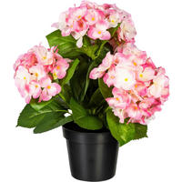 KUNSTPFLANZE Hortensie 32 cm  - Rosa/Grün, Design, Kunststoff (32cm) - P & B
