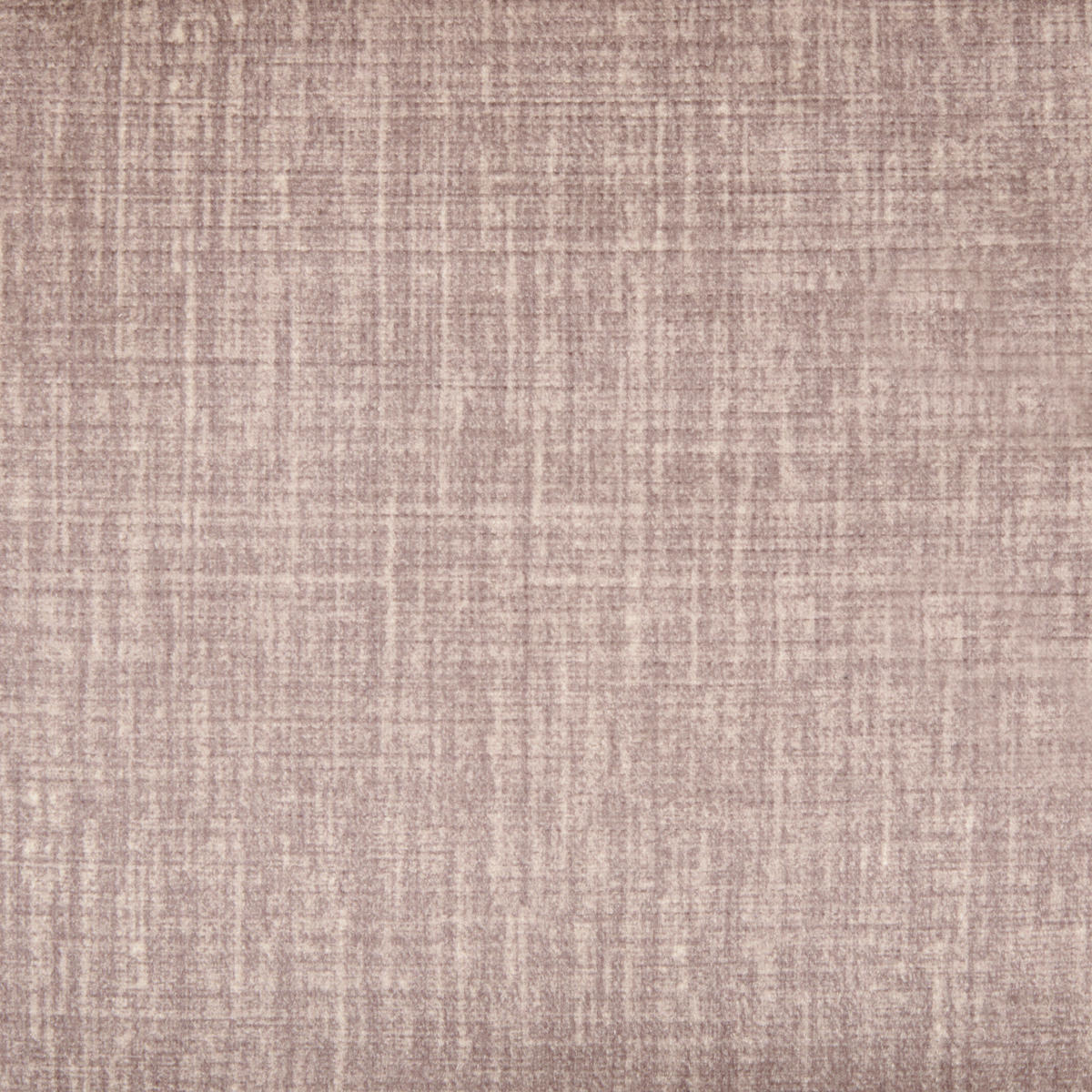 ARMLEHNSTUHL  in Eisen Samt, Webstoff  - Beige/Schwarz, KONVENTIONELL, Textil/Metall (62/86/64cm) - MID.YOU