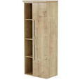 MIDISCHRANK 50/130,8/33 cm  - Chromfarben/Eichefarben, KONVENTIONELL, Holzwerkstoff/Metall (50/130,8/33cm) - Dieter Knoll