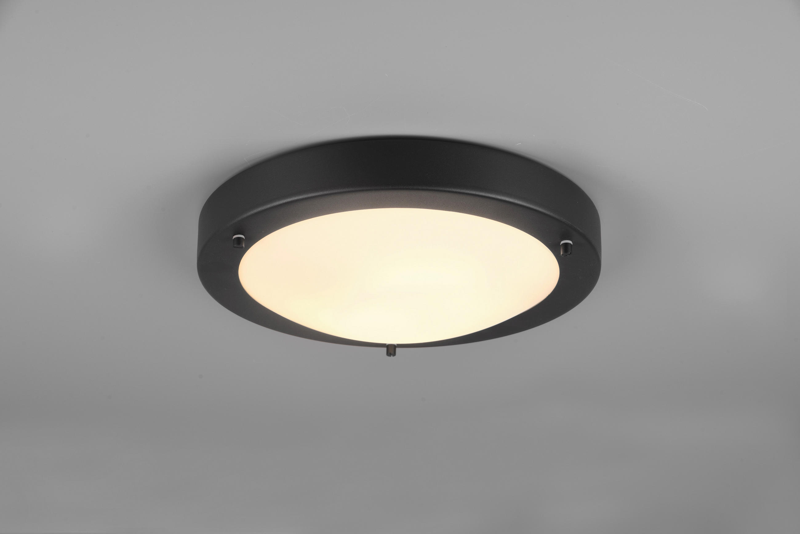 TAKLAMPA FÖR BADRUM Condus 31,5/8 cm  - vit/svart, Basics, metall/glas (31,5/8cm) - Trio Leuchten