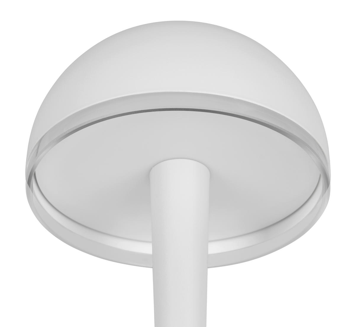 LED-STEHLEUCHTE - Transparent/Grau, Basics, Kunststoff/Metall (22/130,5cm)