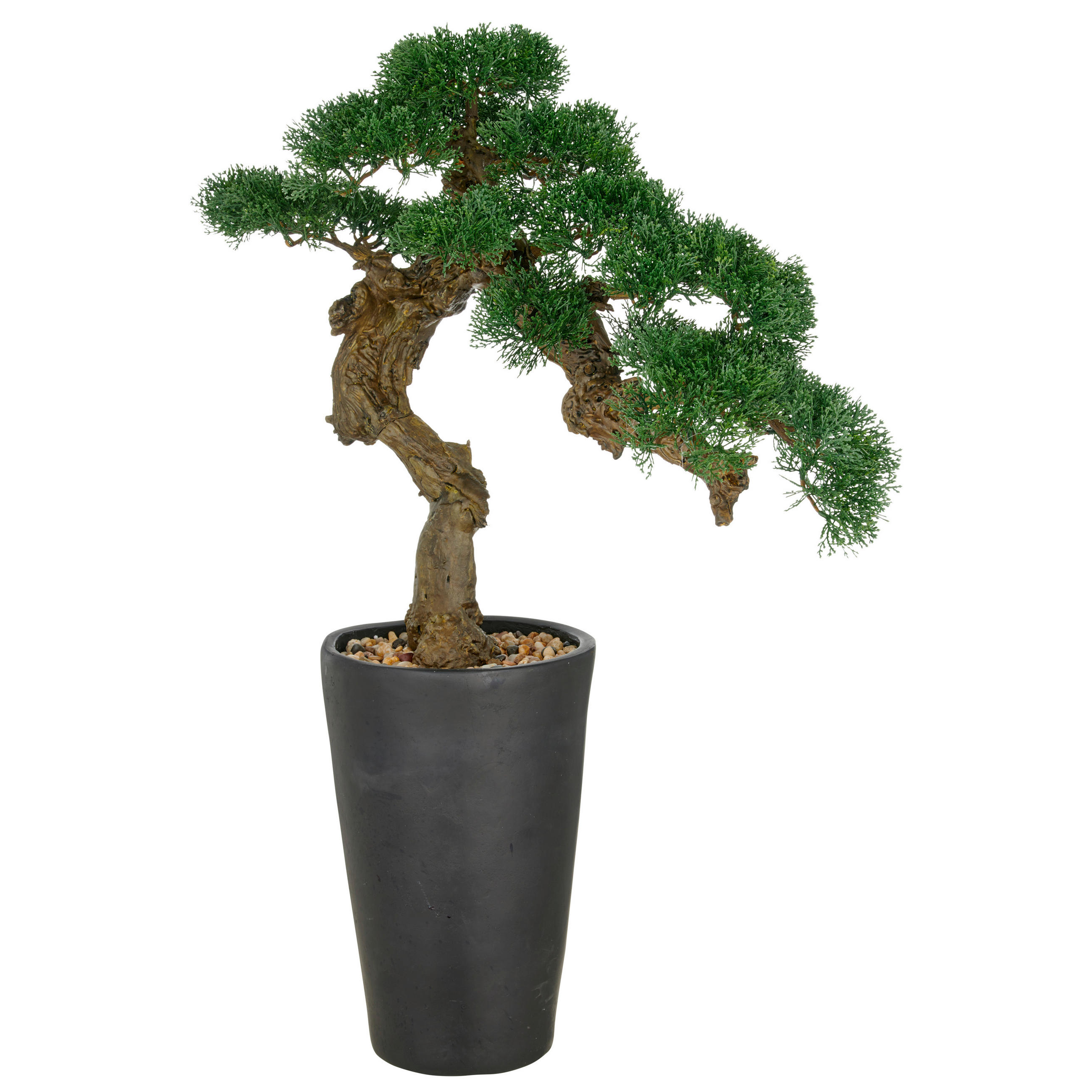 KUNSTPFLANZE Bonsai  - Dunkelgrün/Schwarz, Basics, Keramik/Kunststoff (60/80/60cm) - P & B