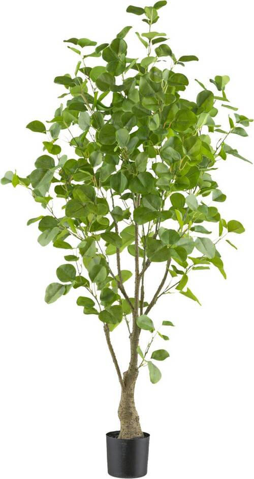 KUNSTPFLANZE Eukalyptus 130 cm  - Schwarz/Braun, Design, Kunststoff (130cm) - P & B