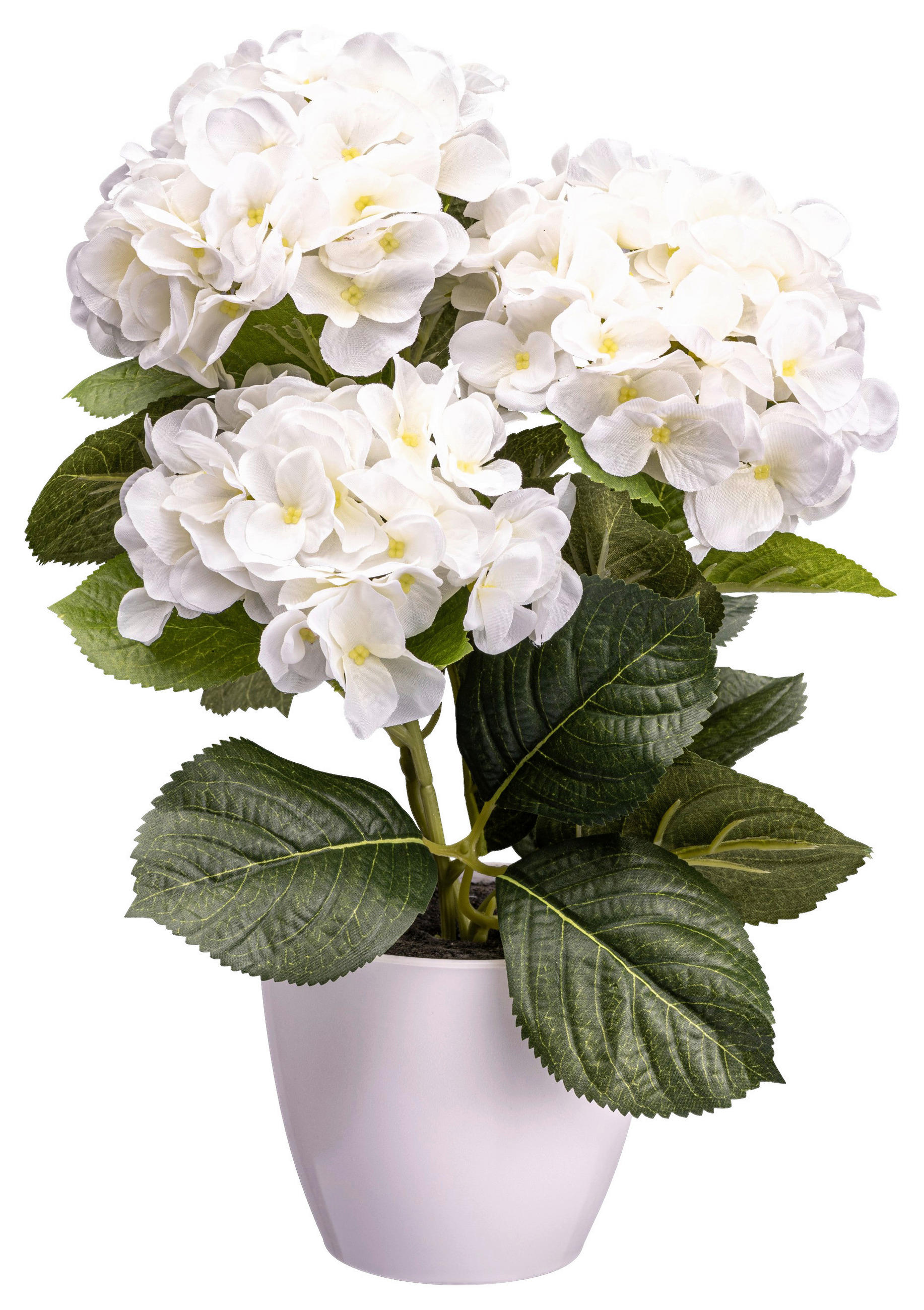 KUNSTPFLANZE Hortensie 32 cm  - Weiß/Grün, Design, Kunststoff (32cm)