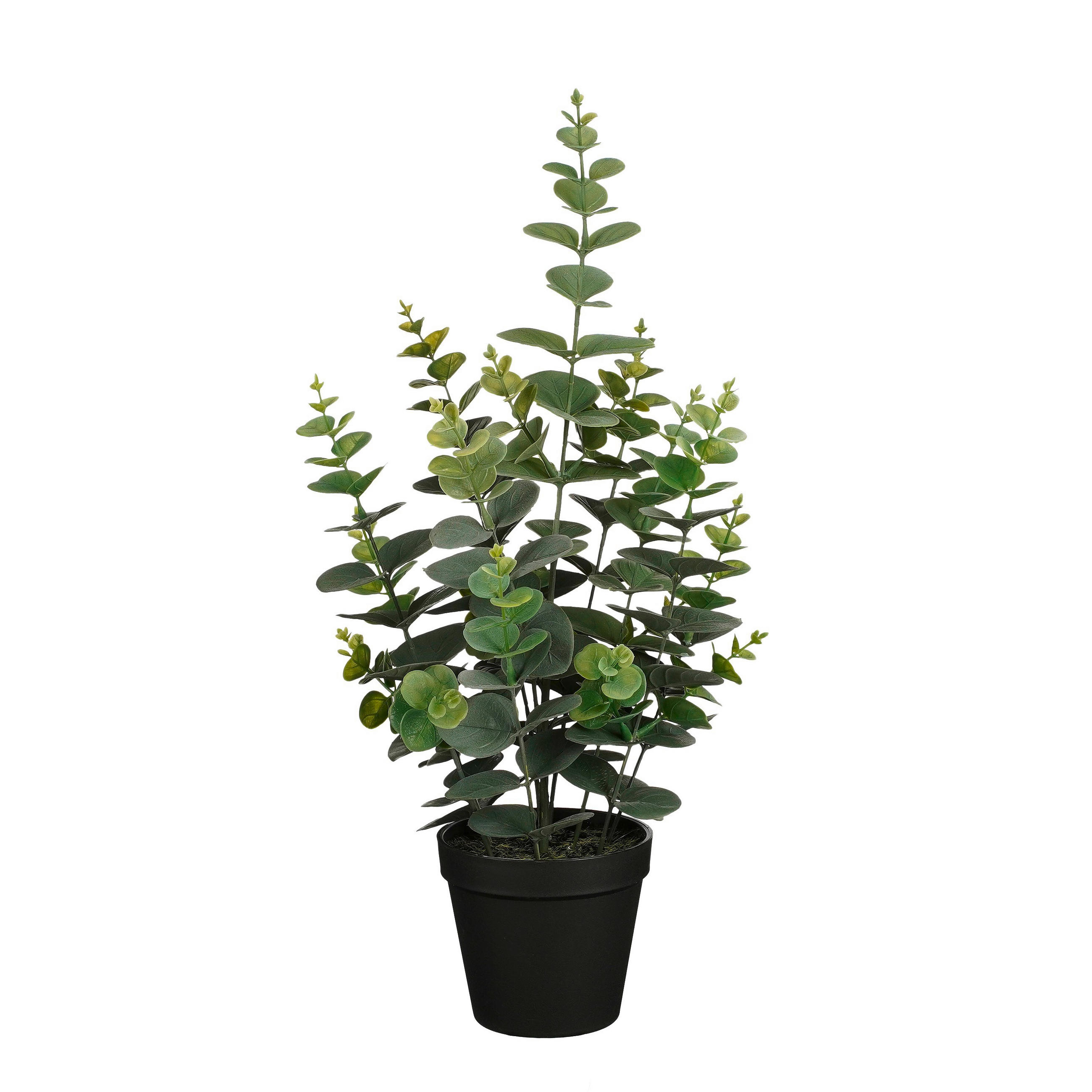 BILJKA UMJETNA  - zelena, Basics, plastika (23/53cm)