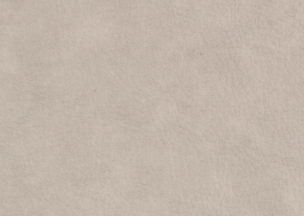 ECKSOFA Echtleder Beige  - Anthrazit/Beige, Design, Leder/Metall (290/230cm) - Johann Jakob