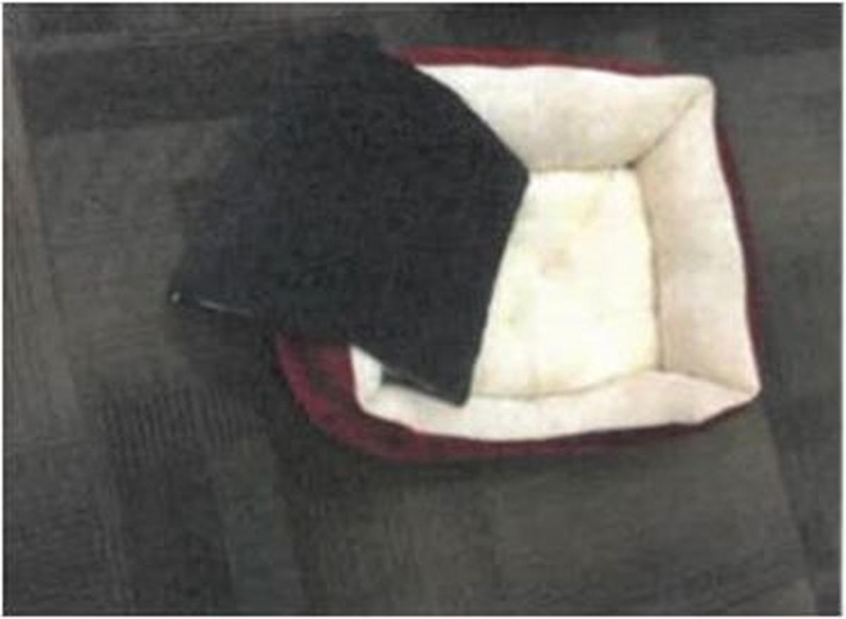 HUNDESOFA - Schwarz/Weiß, Trend, Textil (56/40/20cm) - Xora