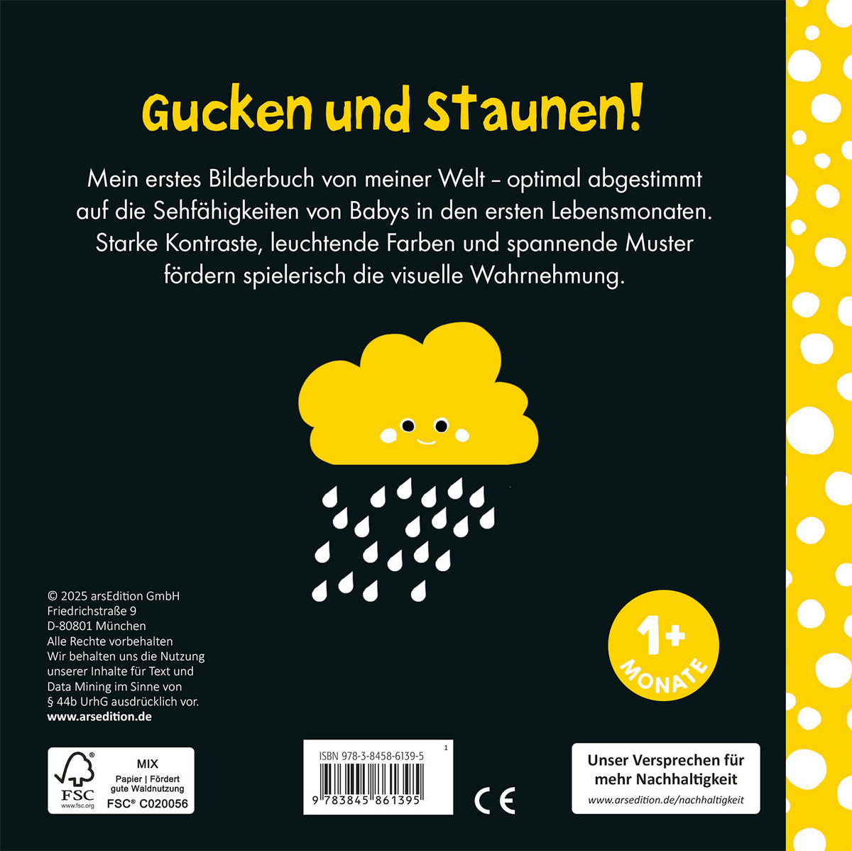 BUCH - Multicolor, Basics, Papier (16,1/16,1/1cm)