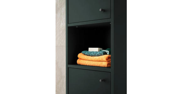 HOCHSCHRANK 38/197/32 cm - Dunkelgrün/Schwarz, KONVENTIONELL, Holzwerkstoff/Metall (38/197/32cm) - Xora