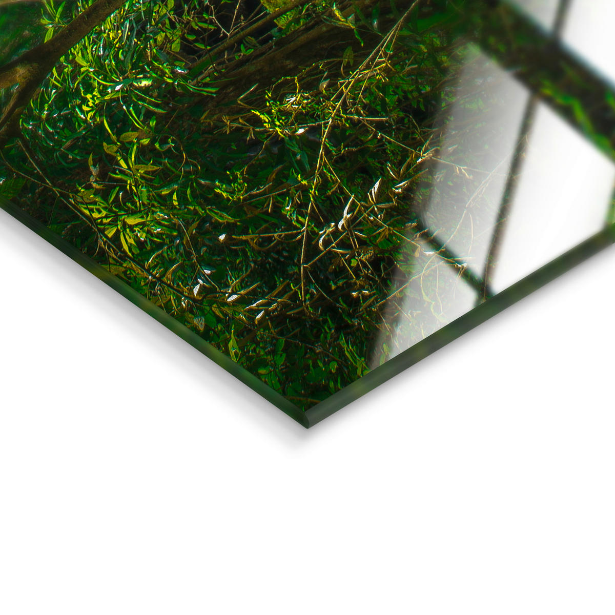 GLASBILD 120/80 cm  - Multicolor, Natur, Glas/Papier (120/80cm) - Monee