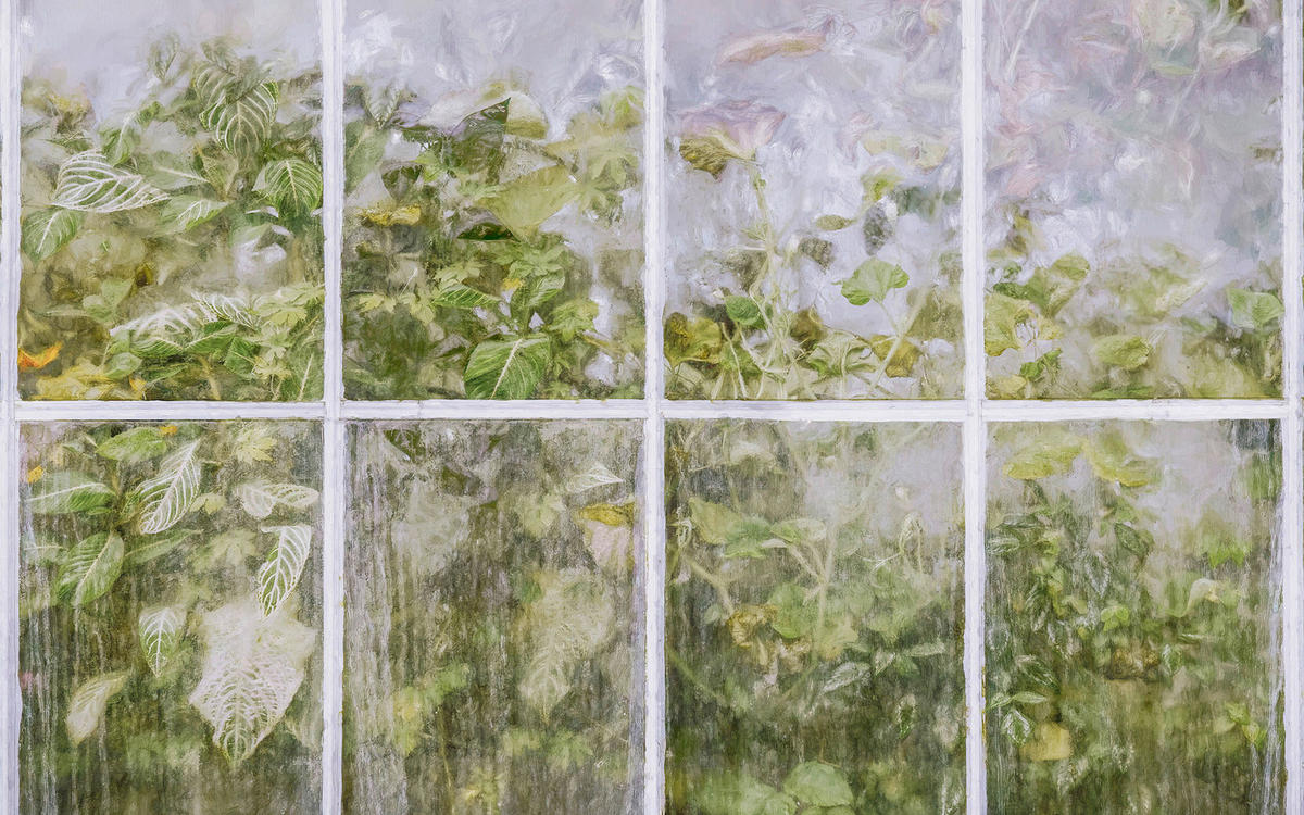 VLIESTAPETE - Multicolor, Basics (400/250cm) - Komar