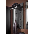 GARDEROBENPANEEL  in 73/106/35 cm  - Anthrazit, Design, Holz/Metall (73/106/35cm) - Johann Jakob