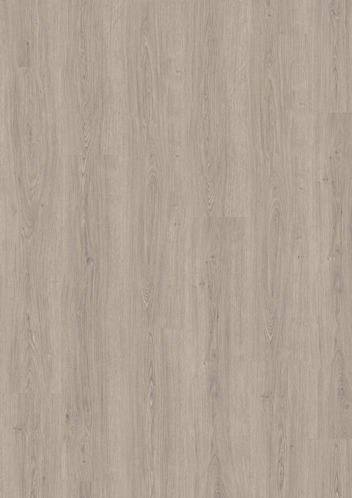LAMINATBODEN Victoria Eiche Nature Sense Aqua  per  m² - Eichefarben/Hellgrau, KONVENTIONELL, Holzwerkstoff (129.2/24.6/0.8cm) - Egger Holzwerkstoffe