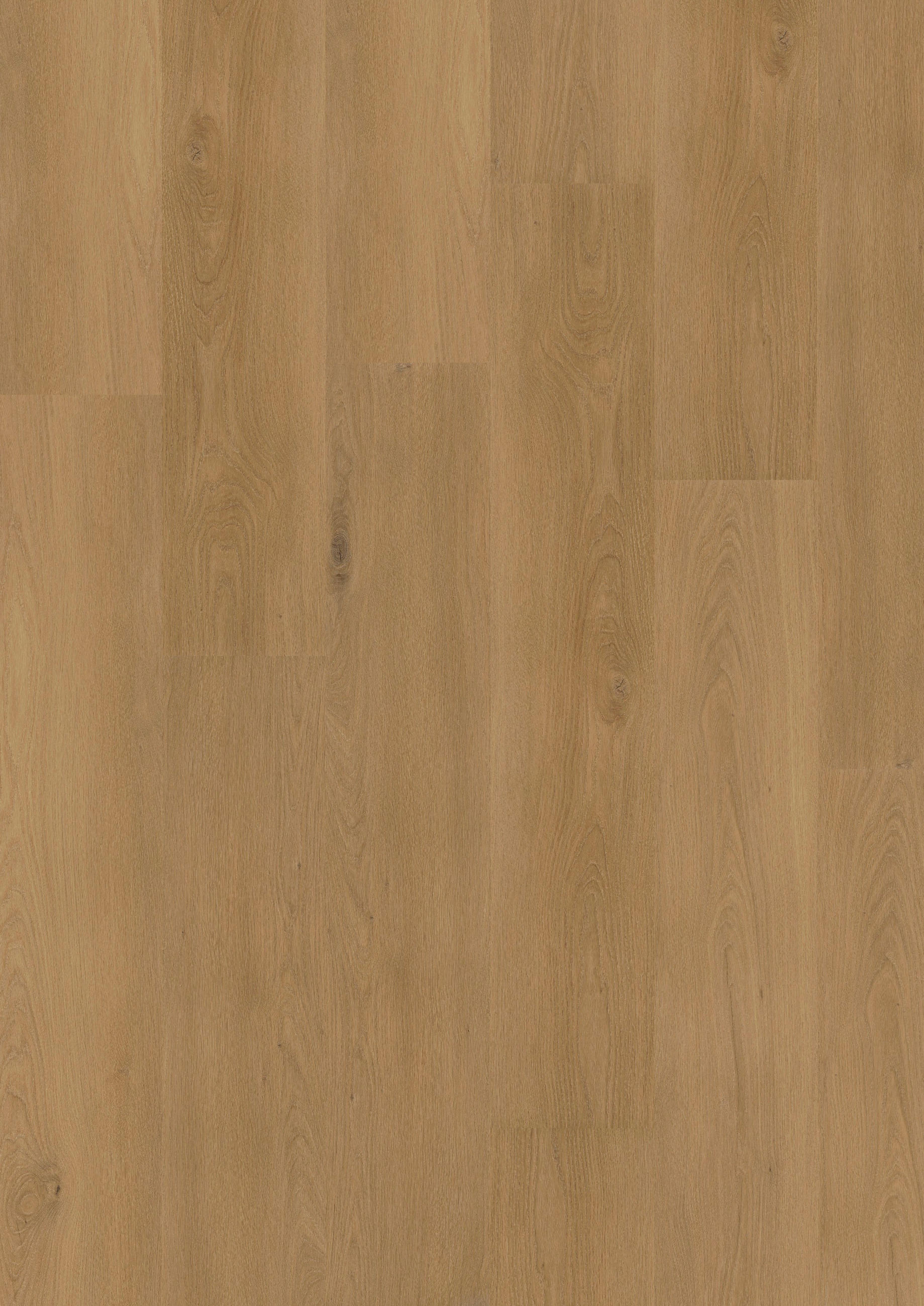 VINYLBODEN NOVO Eiche Suma 100065001  per  m² - Eichefarben, Design, Holzwerkstoff (120,5/21/0,98cm) - Tilo