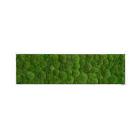 MOOSBILD Stylegreen  - Weiß/Grün, Basics, Naturmaterialien/Holz (140/40/7cm)