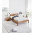 BETT Buche massiv 140/200 cm - Buchefarben, LIFESTYLE, Holz (140/200cm) - Carryhome