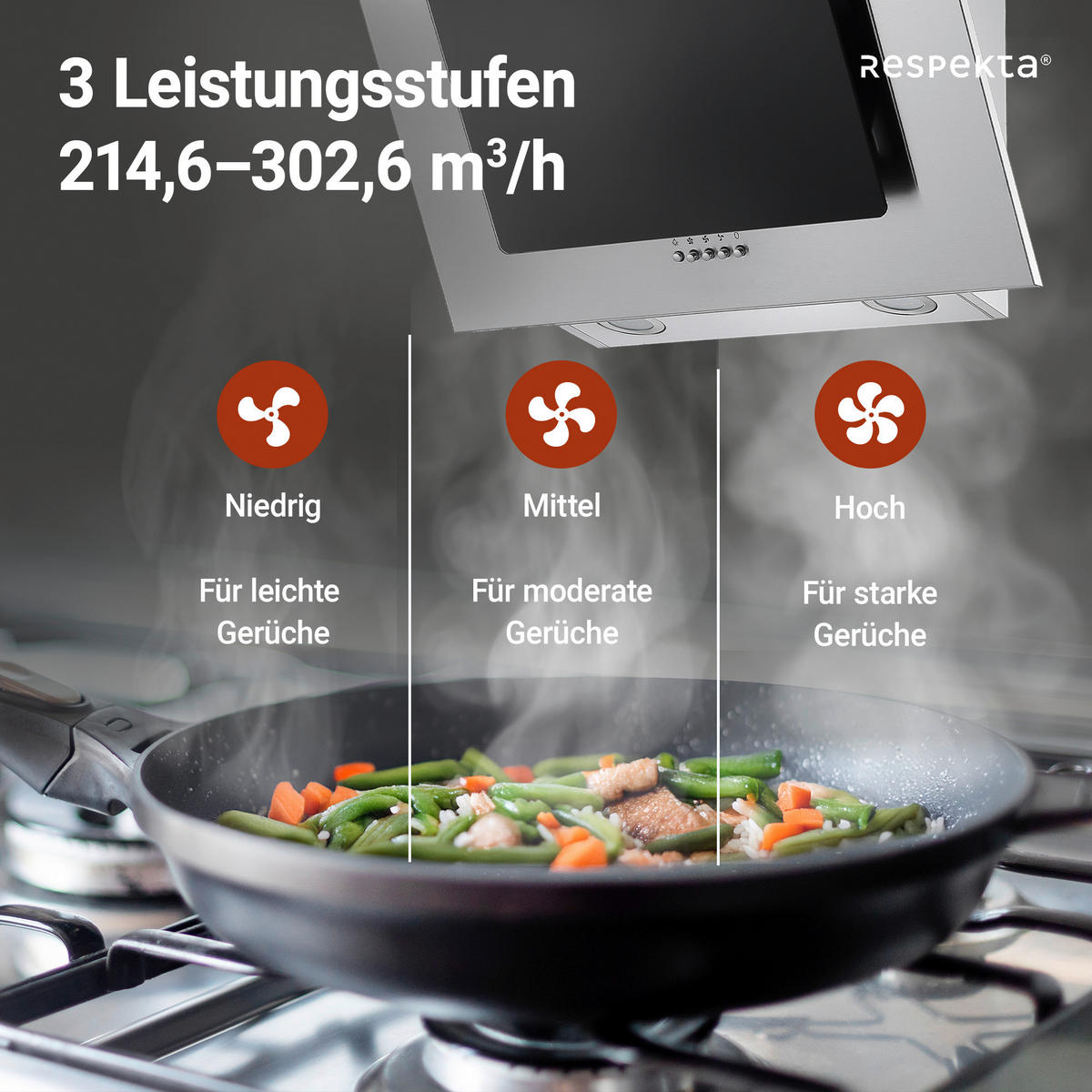 FLÄKTKÅPA CH2060SBM  - stålfärgad/svart, Trend, metall/glas (60/74,3-102,3/31,3cm) - Respekta