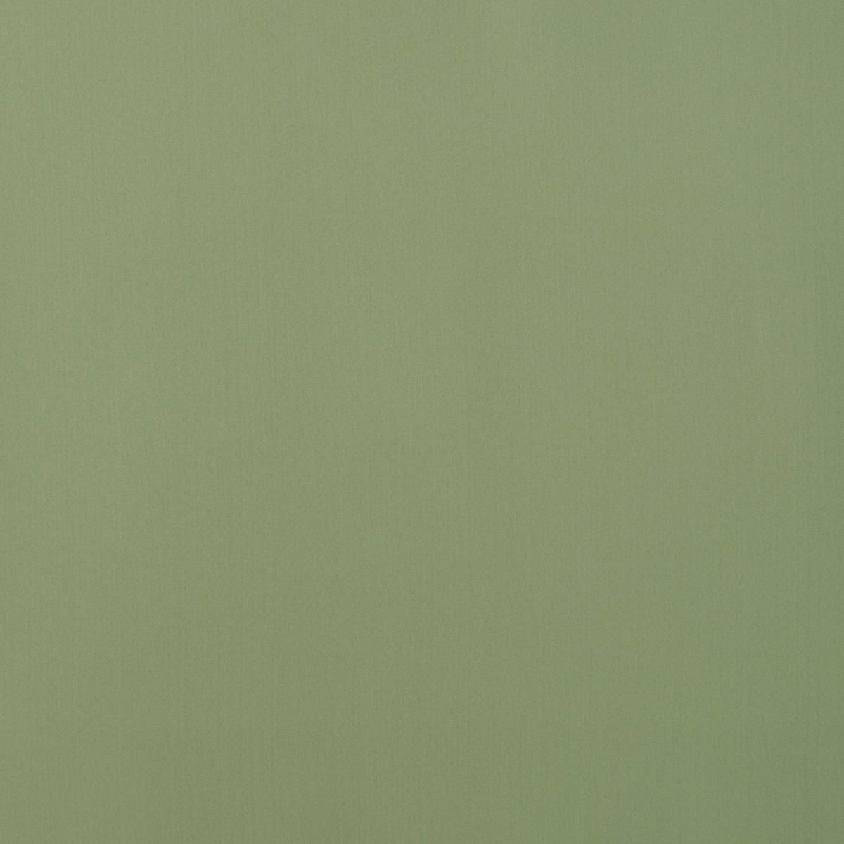 HOTOVÝ ZÁVĚS, zatemnění, 135/245 cm - zelená, Basics, textil (135/245cm) - Esposa