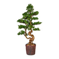 KUNSTPFLANZE Bonsai 125 cm  - Braun/Grün, Basics, Kunststoff (125cm) - P & B