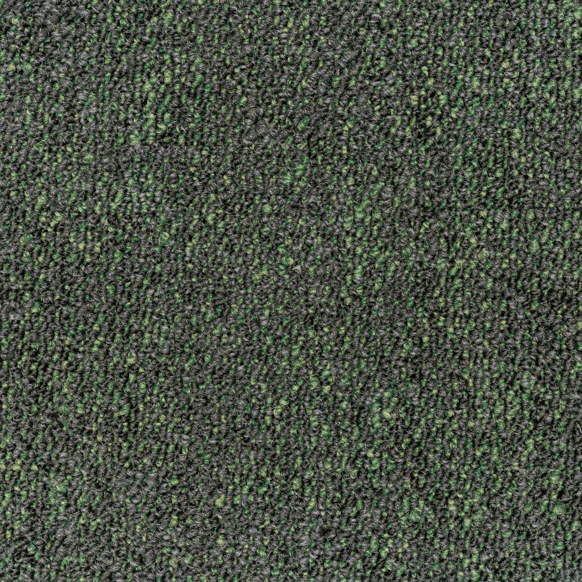 TEPPICHFLIESE 50/50 cm in Waldgrün  - Waldgrün, Basics, Textil (50/50cm)