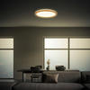 LED-PANEEL Tava Wood 29/3 cm   - Eichefarben, MODERN, Kunststoff (29/3cm)