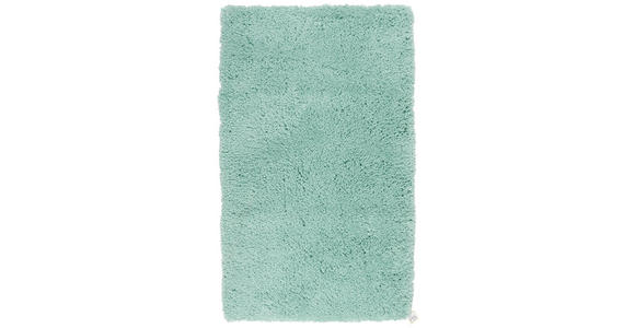 BADEMATTE 60/100 cm Mintgrün - Mintgrün, Basics, Kunststoff/Textil (60/100cm) - Ambiente