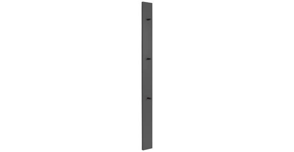 GARDEROBENPANEEL  in 14/170/5 cm  - Grau, Design, Holzwerkstoff (14/170/5cm) - Dieter Knoll