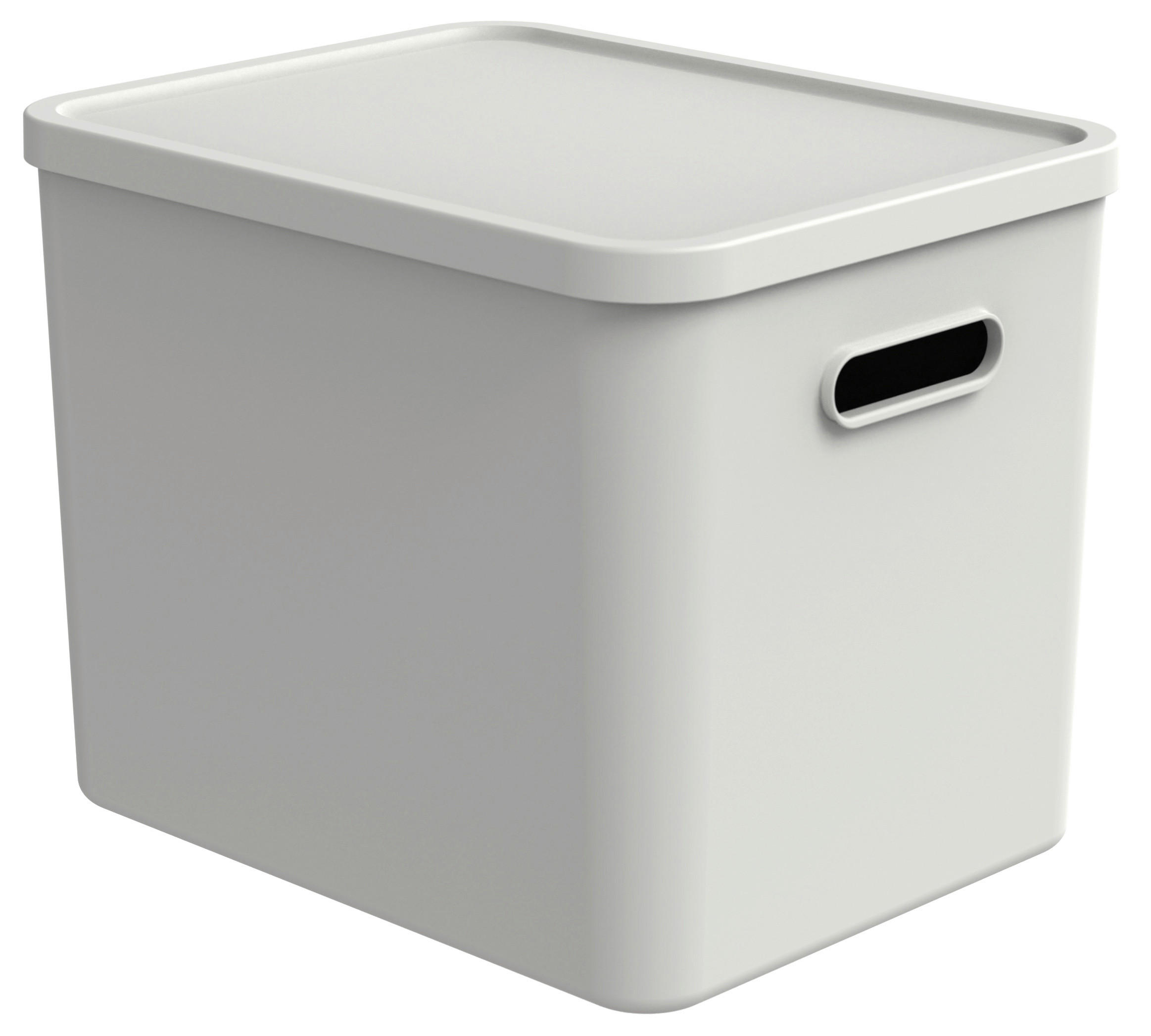 AUFBEWAHRUNGSBOX Albula  - Weiß, KONVENTIONELL, Kunststoff (37/29/29,5cm) - Rotho