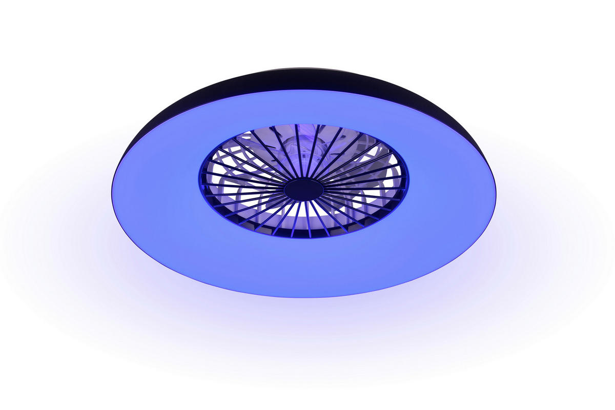 DECKENVENTILATOR - Klar/Schwarz, Design, Kunststoff (60/19.5cm) - Trio Leuchten