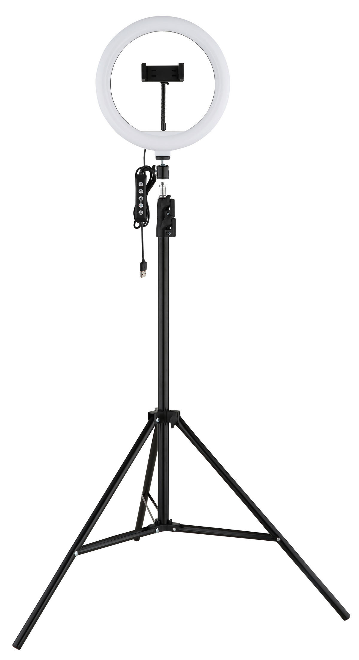 LED-GOLVLAMPA Delgado 63/210 cm    - opal/svart, Basics, metall/plast (63/210cm)