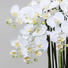 KUNSTBLUME Orchidee - Dunkelgrün/Weiß, Basics, Kunststoff (93cm) KUNSTBLUME Orchidee - Dunkelgrün/Weiß, Basics, Kunststoff (93cm)