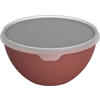 SCHÜSSEL CARUBA   - Rostfarben, KONVENTIONELL, Kunststoff (24/11,6cm) - Rotho