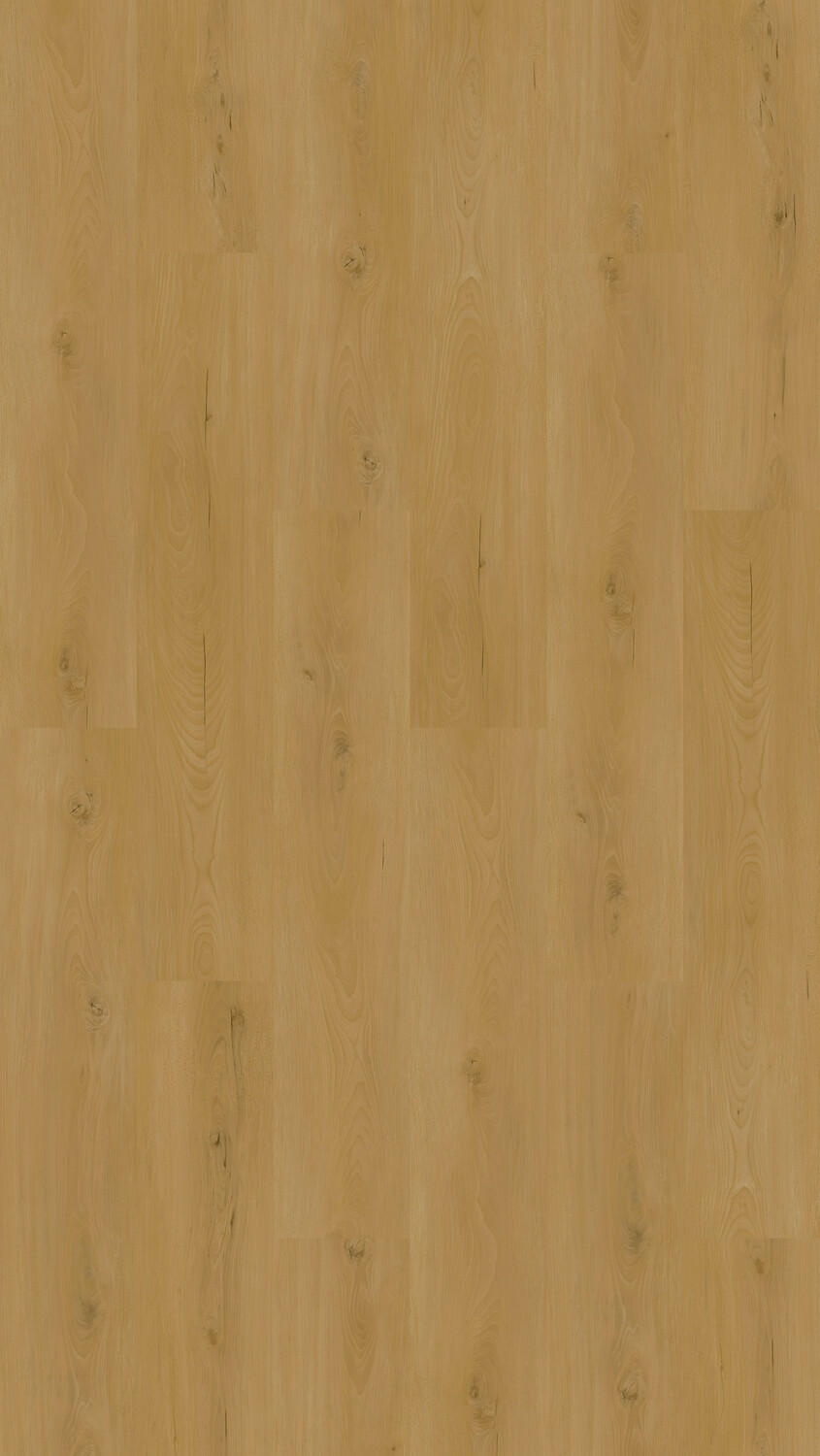 Vinylboden Buche Bludenz  per  m² - Design, Holz (123,5/23/0,95cm) - Venda