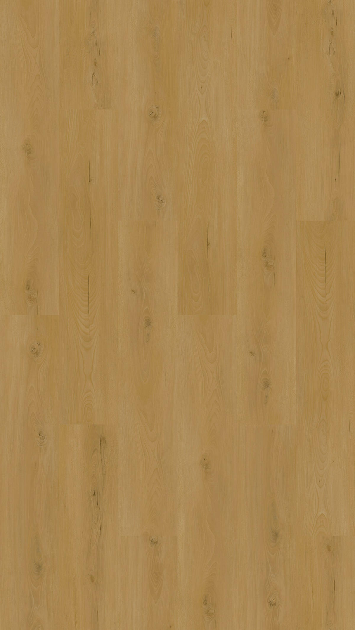 Vinylboden Buche Bludenz  per  m² - Design, Holz (123,5/23/0,95cm) - Venda