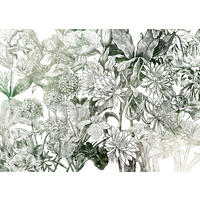 NON WOVEN-TAPET 350/250 cm  - vit/grön, Basics (350/250cm) - Komar