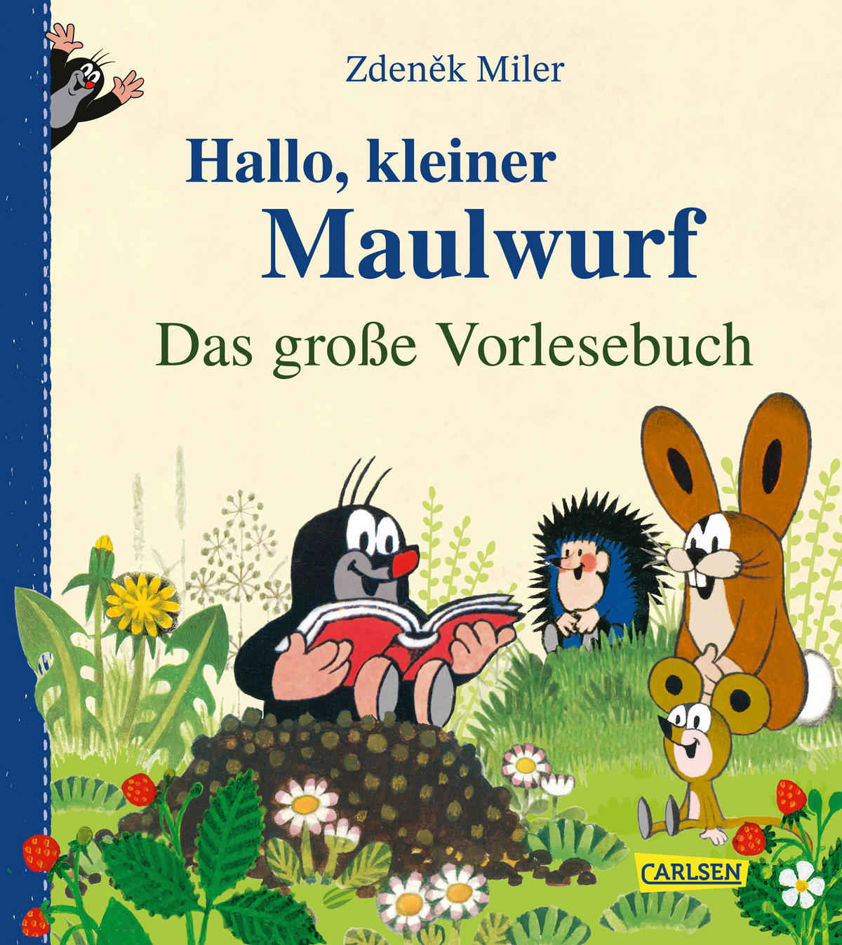 BUCH - Multicolor, Basics, Papier (23/20/1,8cm) - Carlsen