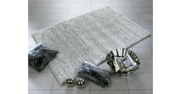 HOCHFLORTEPPICH 60/90 cm FANTASY SHAGGY Silberfarben  - Silberfarben, Basics, Textil (60/90cm) - Novel