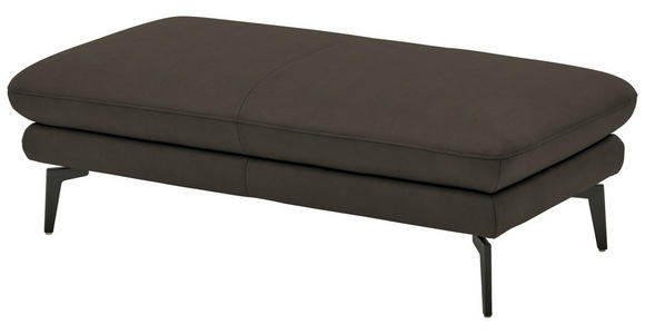 3-SITZER-SOFA in Leder Graubraun - Graubraun/Schwarz, Design, Leder/Metall (222/86/104cm) - Dieter Knoll