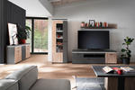 VITRINE Grau, Eichefarben Befestigungsmaterial, Einlegeböden, Oberplattenbeleuchtung  - Eichefarben/Anthrazit, Design, Glas/Holzwerkstoff (88/198/38cm) - Carryhome