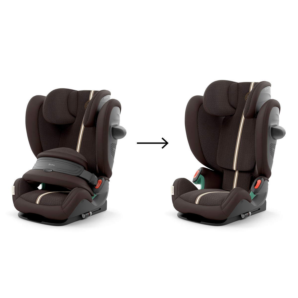 KINDERAUTOSITZ Pallas G3 Plus Chocolate Brown   - Dunkelbraun, Basics, Kunststoff/Metall (40.5/59,5/59-81cm) - cybex GOLD