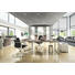BÜRO Beimöbel erhältlich, erweiterbar, Typenauswahl, umfangreiches Zubehör erhältlich Ahornfarben, Buchefarben, Dunkelgrau, Weiß - Dunkelgrau/Buchefarben, Design, Glas - Moderano BÜRO Beimöbel erhältlich, erweiterbar, Typenauswahl, umfangreiches Zubehör erhältlich Ahornfarben, Buchefarben, Dunkelgrau, Weiß - Dunkelgrau/Buchefarben, Design, Glas - Moderano