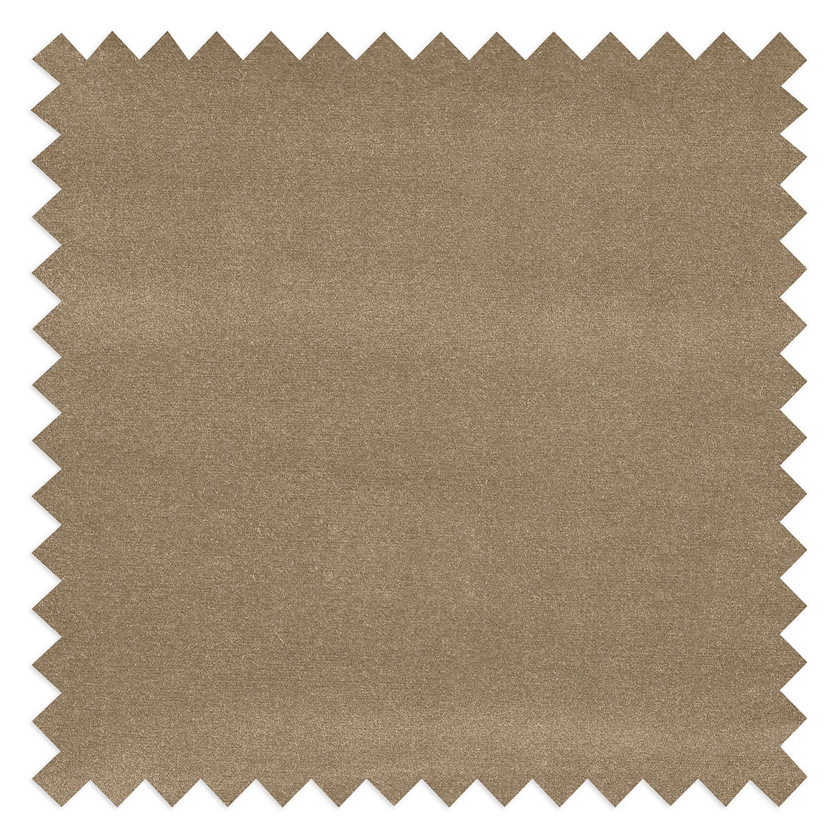 SCHLAFSOFA PAFOS in Samt Hellbraun  - Chromfarben/Hellbraun, Design, Textil/Metall (203/77-98/103cm) - MID.YOU