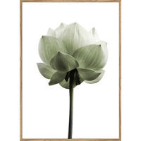 UMELECKÁ TLAČ, kvety, 50/70 cm  - viacfarebná/farba duba, Basics, kompozitné drevo (50/70cm) - Monee