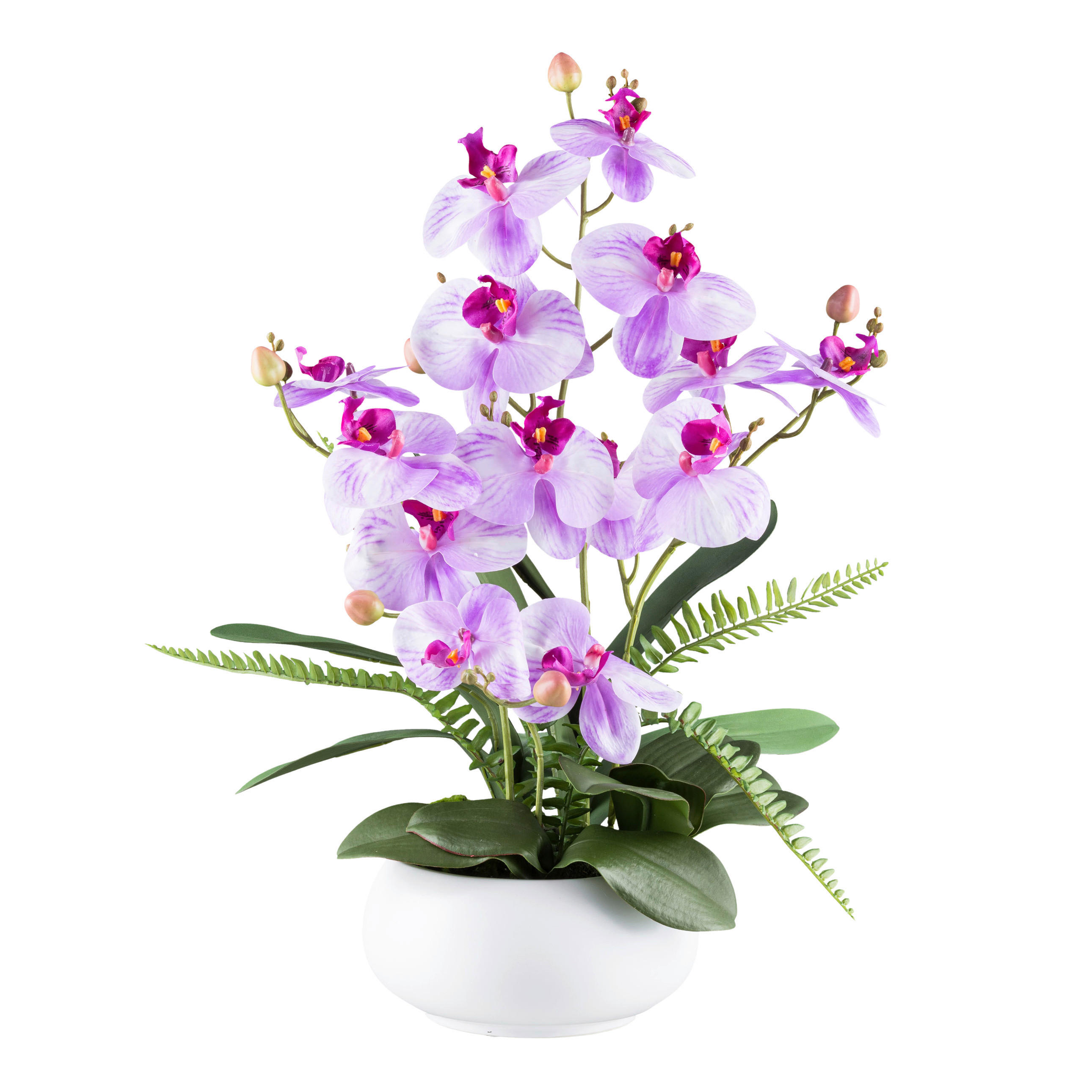 KUNSTPFLANZE Orchidee 55 cm  - Violett/Weiß, Design, Keramik/Kunststoff (55cm) - P & B