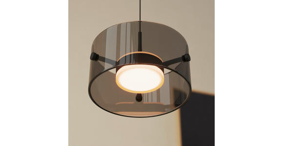 LED-HÄNGELEUCHTE 16/150 cm  - Schwarz, Design, Glas/Kunststoff (16/150cm) - Novel