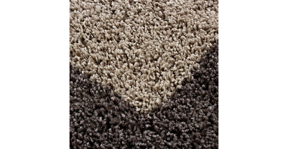 HOCHFLORTEPPICH 240/340 cm Life 1503 Taupe - Taupe, KONVENTIONELL, Textil (240/340cm) - Novel